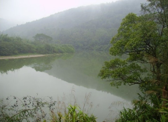 滨江（珠江水系干流北江的支流）