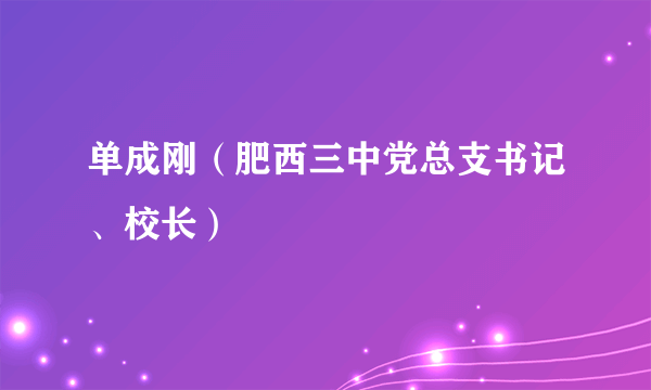 单成刚（肥西三中党总支书记、校长）