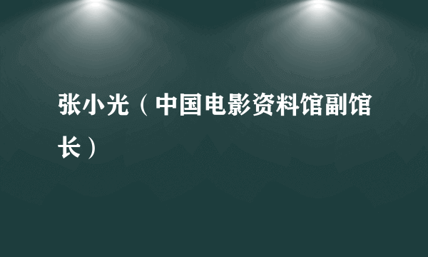 张小光（中国电影资料馆副馆长）