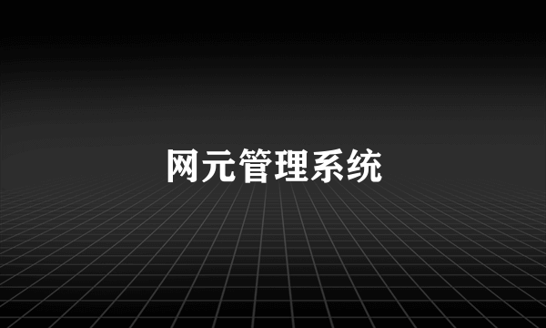 网元管理系统