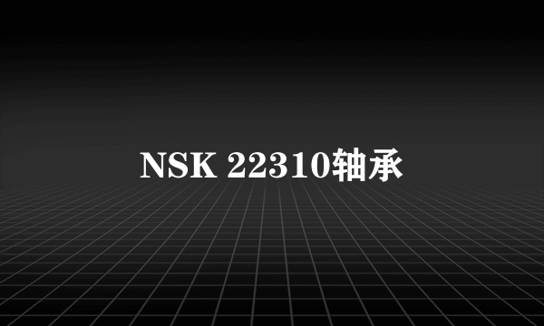 NSK 22310轴承