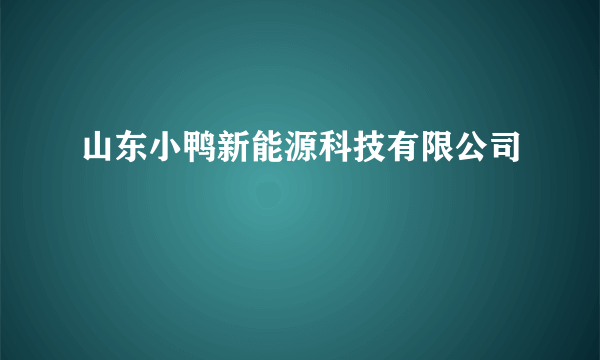 山东小鸭新能源科技有限公司