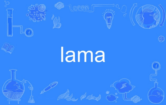 lama（英语单词）