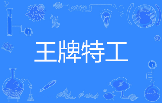 王牌特工（肥茄子创作的网络小说）