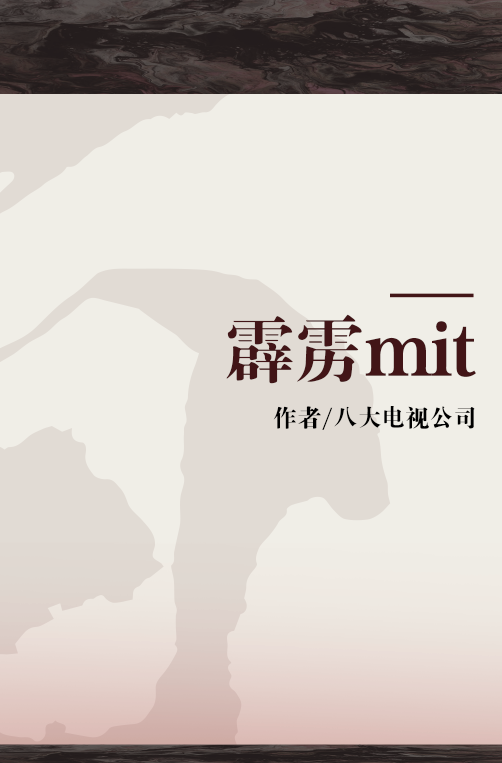 霹雳mit（2008年麦田出版社出版的图书）