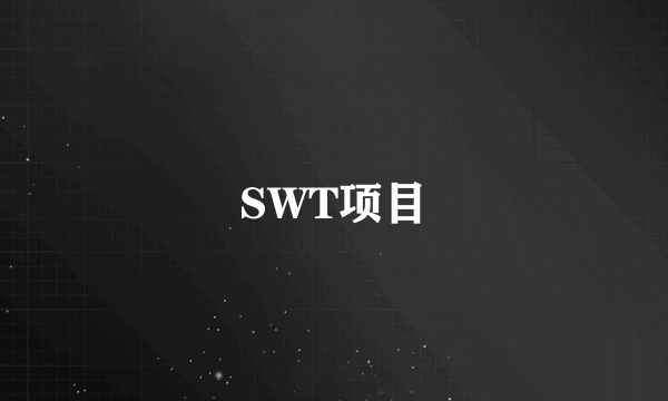 SWT项目