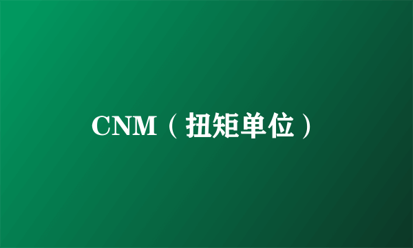 CNM（扭矩单位）