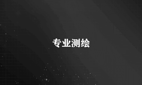 专业测绘