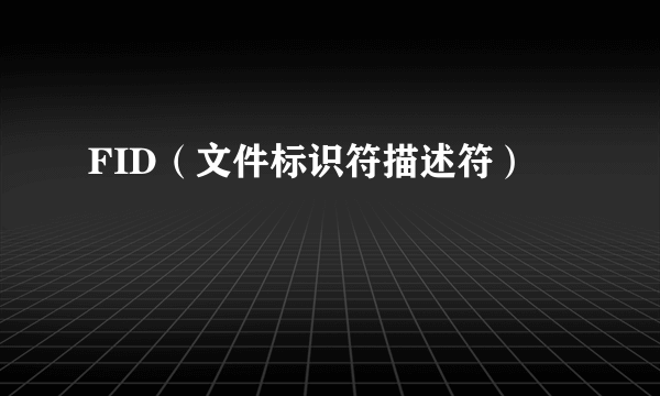 FID（文件标识符描述符）