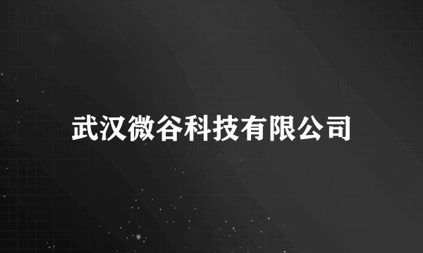 武汉微谷科技有限公司