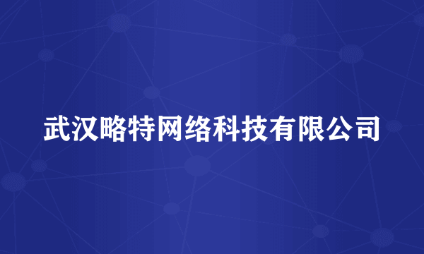 武汉略特网络科技有限公司