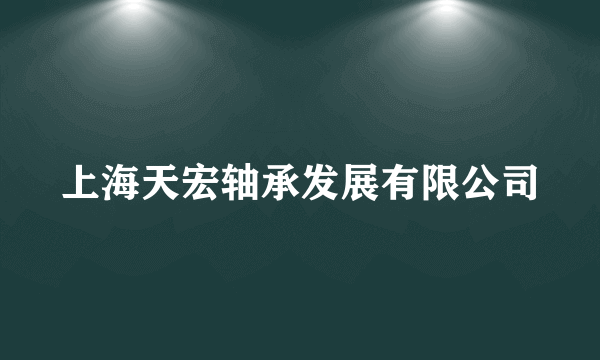 上海天宏轴承发展有限公司