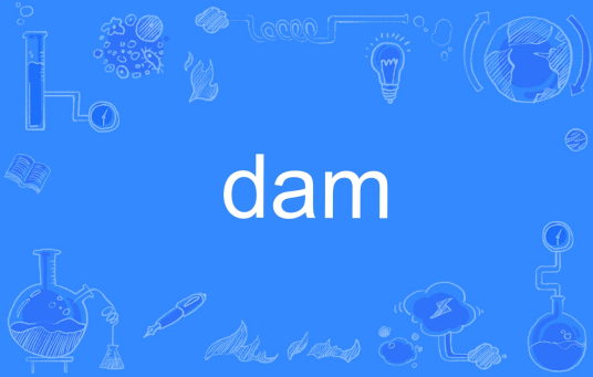 Dam（英文单词）