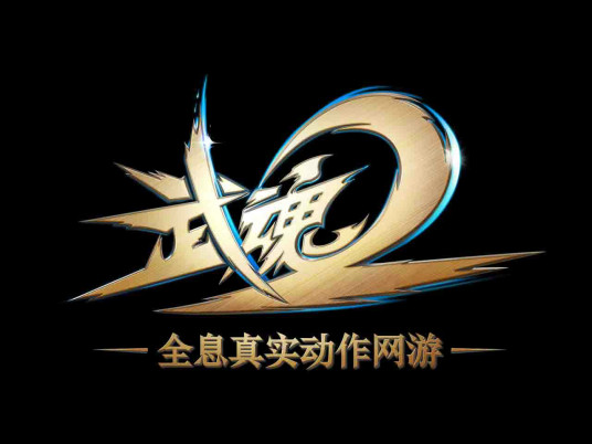 武魂2（网易出品全息真实动作网游）