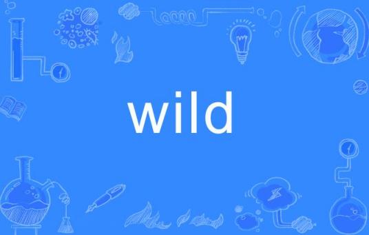 wild（英文单词）