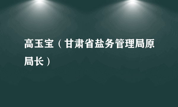 高玉宝（甘肃省盐务管理局原局长）