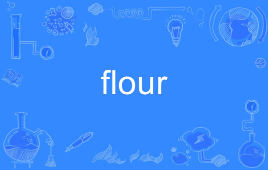 flour（英文单词）