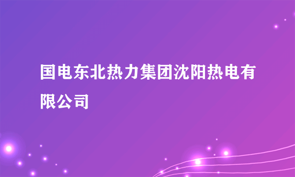 国电东北热力集团沈阳热电有限公司