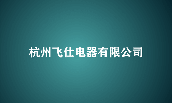 杭州飞仕电器有限公司