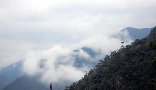 江西武夷山