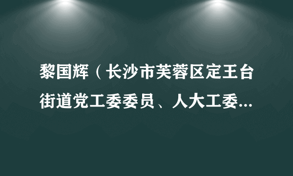 黎国辉（长沙市芙蓉区定王台街道党工委委员、人大工委主任、武装部长）