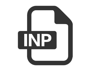 INP（1 国际网络警察）