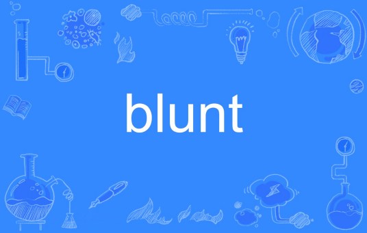 Blunt（英语单词）