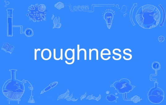 roughness（英语单词）