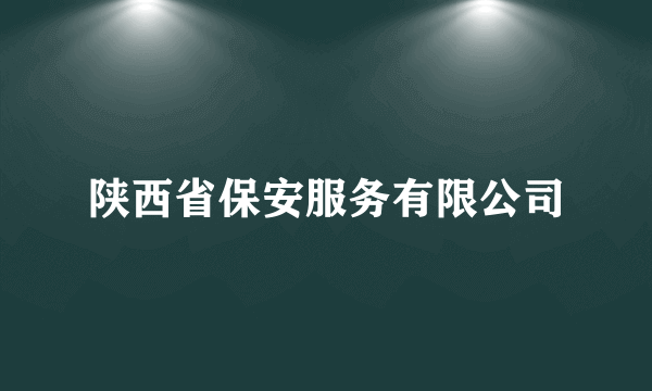 陕西省保安服务有限公司