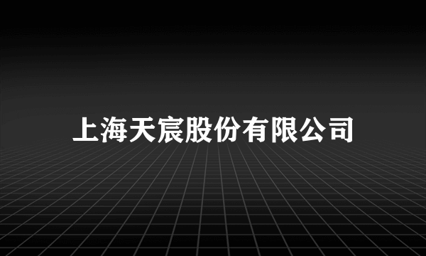 上海天宸股份有限公司