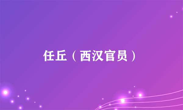 任丘（西汉官员）