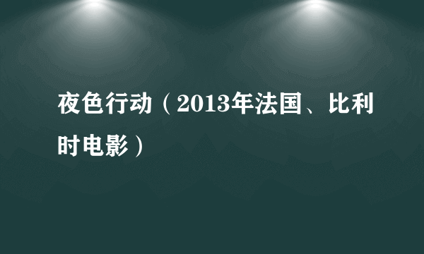 夜色行动（2013年法国、比利时电影）