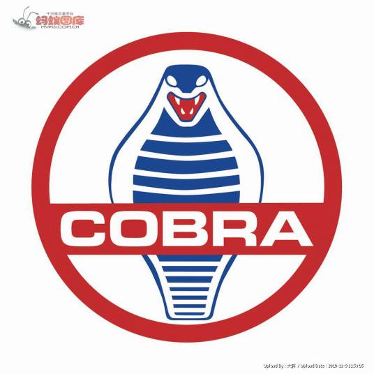 COBRA（高尔夫品牌）