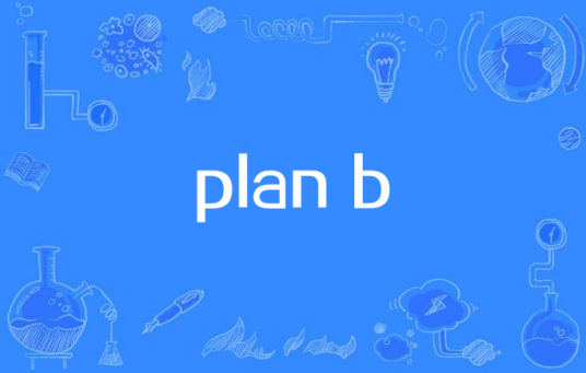 plan b（网络流行语）