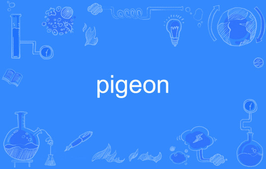 pigeon