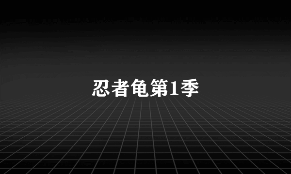 忍者龟第1季