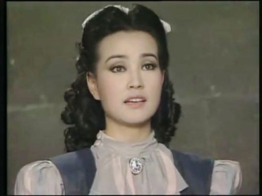 风华绝代（1992年刘晓庆、赵心妍主演的电视剧）