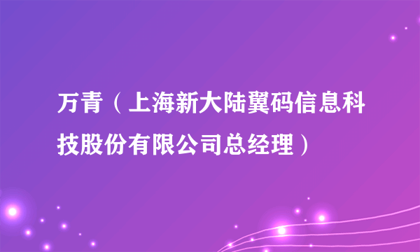 万青（上海新大陆翼码信息科技股份有限公司总经理）