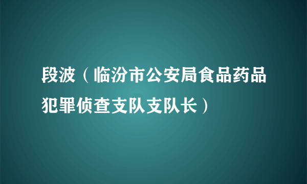 段波（临汾市公安局食品药品犯罪侦查支队支队长）