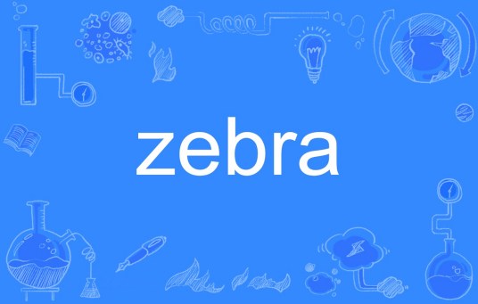 zebra（英文单词）