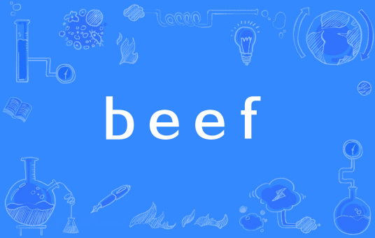 beef（说唱用语）