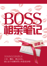 Boss相亲笔记