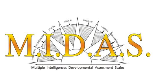 midas（MIDAS 多元智能发展测评系统）