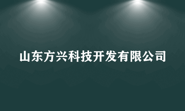 山东方兴科技开发有限公司