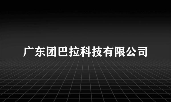 广东团巴拉科技有限公司