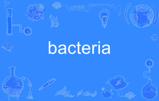 bacteria