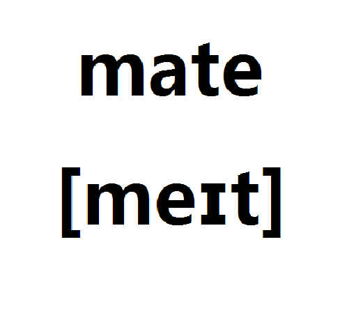 mate（FLEX 框架）