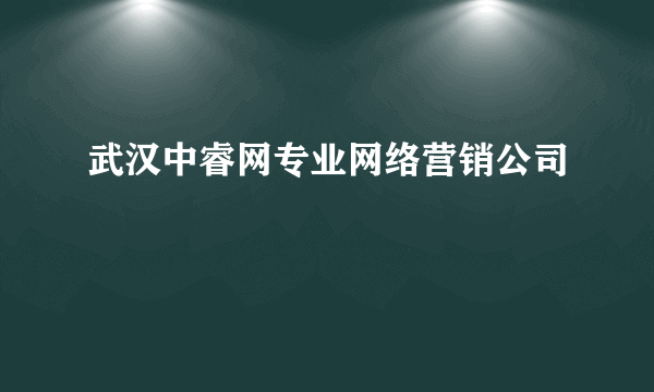 武汉中睿网专业网络营销公司