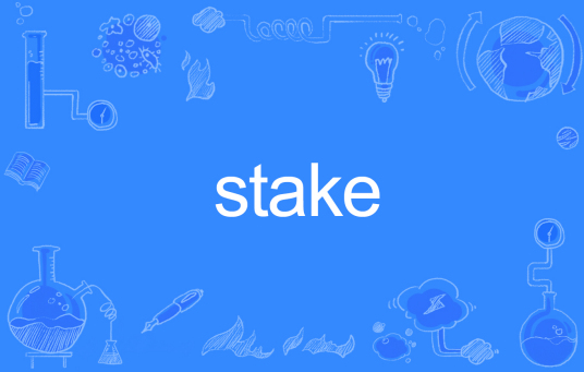 Stake（英文单词）