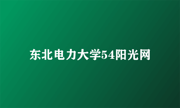 东北电力大学54阳光网